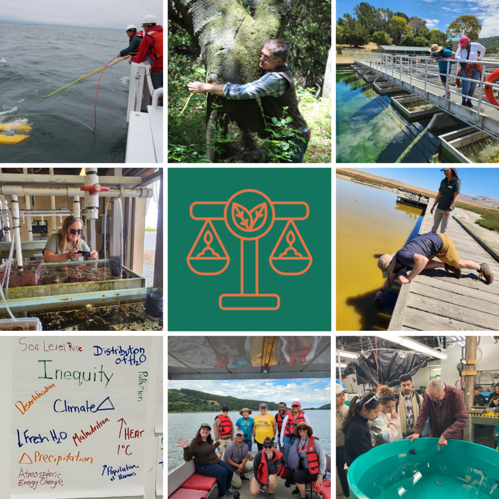 A grid of 9 pictures showing teachers engaged in various environmental activities